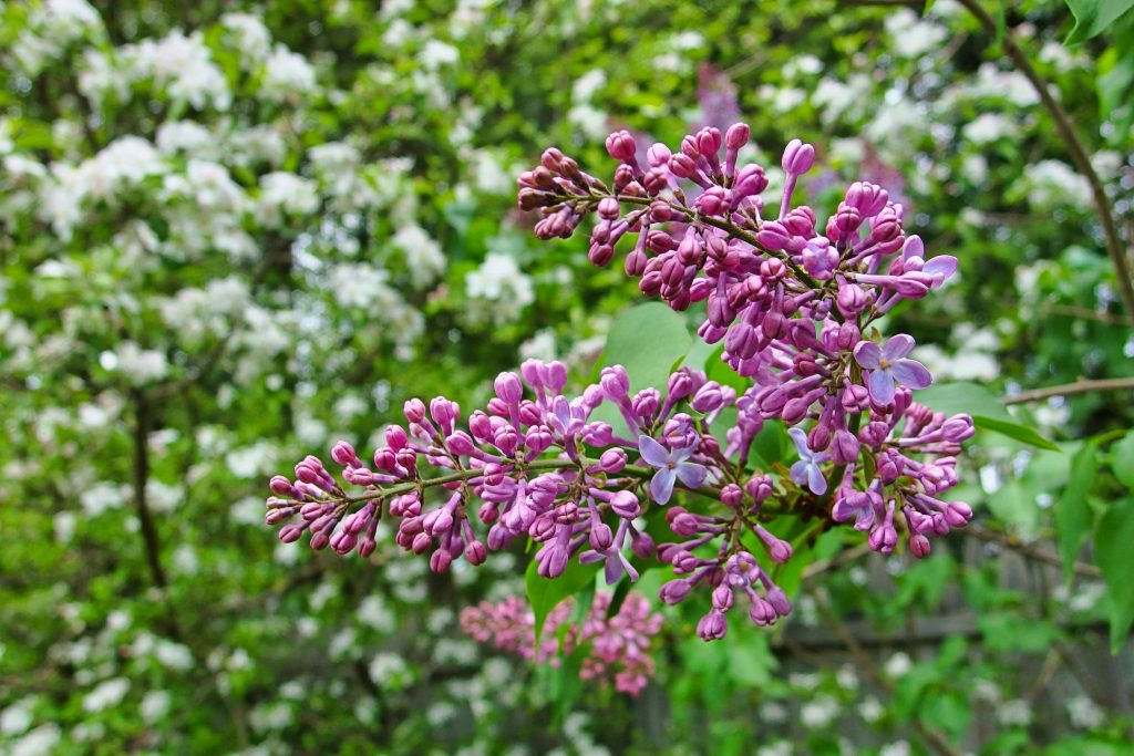 christopher-ryan-DZoXhWHXWAo-unsplash